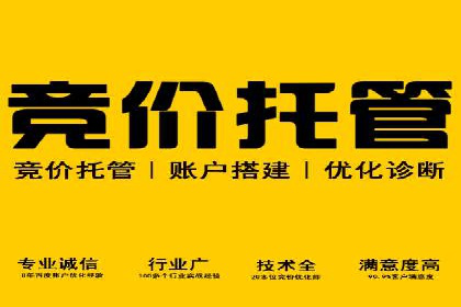 sem竞价推广托管：行业领先企业的成功策略